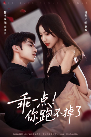 乖一点!你跑不掉了(80集) 乖一点!你跑不掉了(80集)全季一次看完