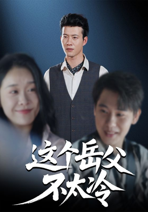 这个岳父不太冷(30集) 这个岳父不太冷(30集)全集