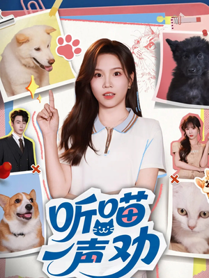 听喵一声劝（60集）在哪里可以全集