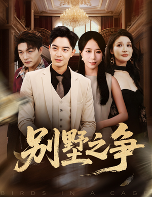 别墅之争（59集）好看的短剧电影