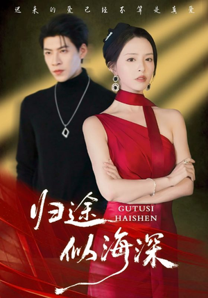 归途似海深（61集）热播古装短剧
