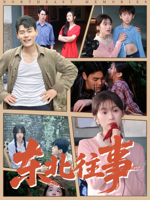 东北往事（60集 ）免费观看全集