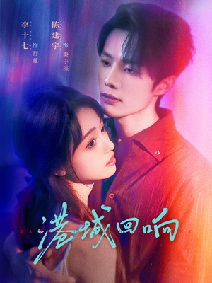 港城回响（79集）全部免费看全集