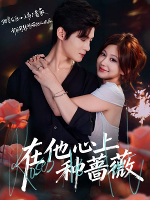 在他心上种蔷薇（81集）一共多少集