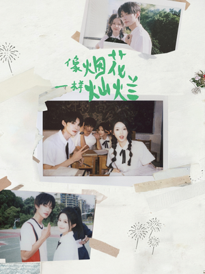 像烟花一样灿烂（60集）真的太精彩了