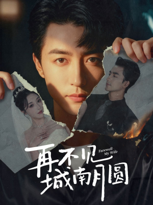 再不见城南月圆（60集）短剧追不停