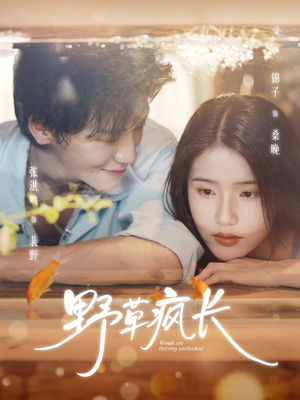 野草疯长(71集) 野草疯长(71集)短剧推荐分享