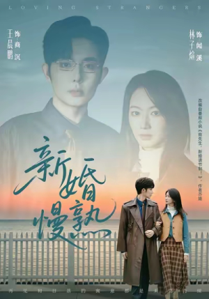 新婚慢熟（105集）百度在线观看