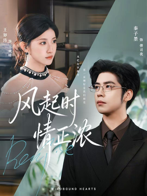 风起时情正浓(79集) 风起时情正浓(79集)正能量短剧分享