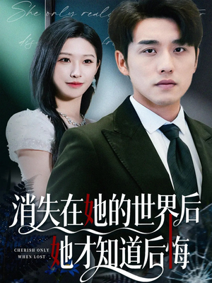 消失在她的世界后她才知道后悔（61集）高分推荐免费看