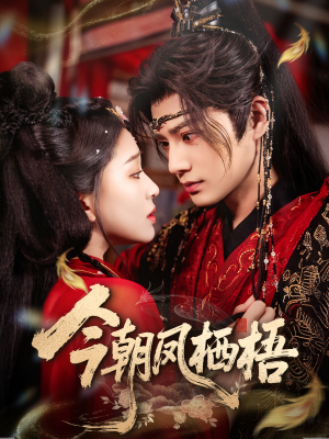 今朝凤栖梧（68集）短剧介绍