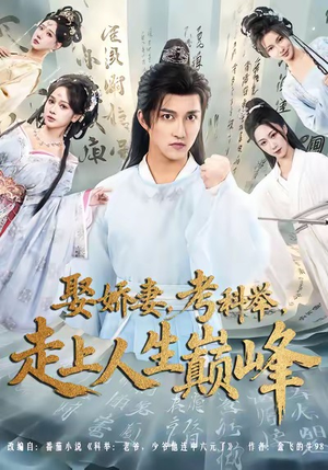 娶娇妻，考科举，走上人生巅峰（80集）无需会员轻松看