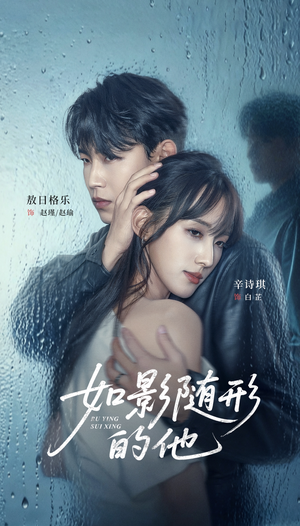 如影随形的他(30集) 如影随形的他(30集)剧情简介