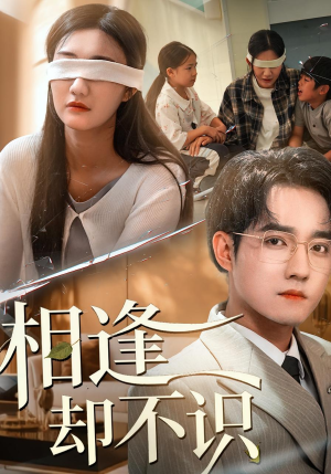 相逢却不识（77集）古装短剧热播