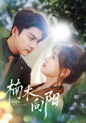 楠木向阳(70集) 楠木向阳(70集)短剧小说在线看