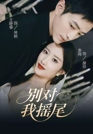 别对我摇尾（59集）短剧推荐上热门