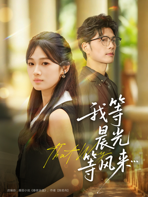 我等晨光等风来（70集）好看上头的短剧
