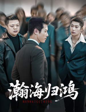 瀚海归鸿(74集) 瀚海归鸿(74集)推荐你们也去看