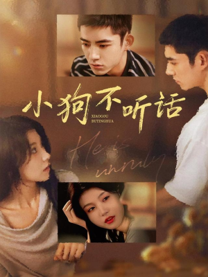 小狗不听话（70集）最火的短剧
