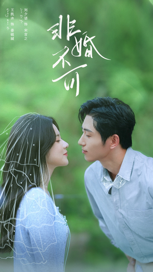 非婚不可(65集) 非婚不可(65集)短剧太精彩