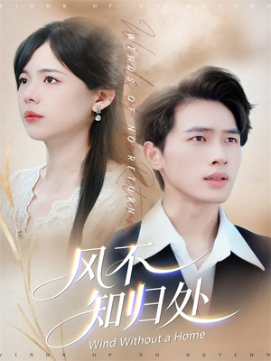 风不知归处（78集）短剧上头又好看