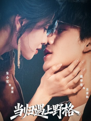 当归遇上野格（66集）古代短剧推荐