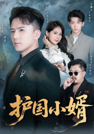 护国小婿（60集）UC网盘在线看