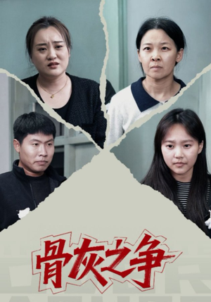 骨灰之争（30集）短剧上头又好看
