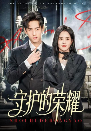 守护的荣耀（69集）完整版